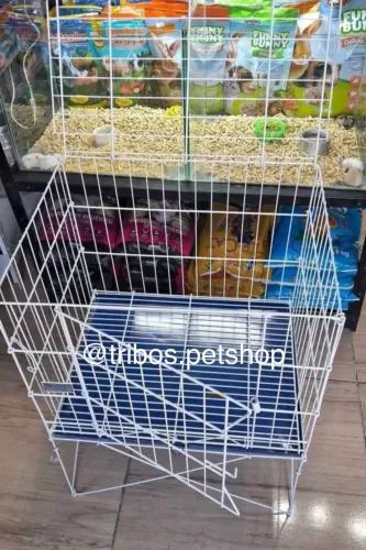 Gaiola coelho, porquinho da índia promoção
