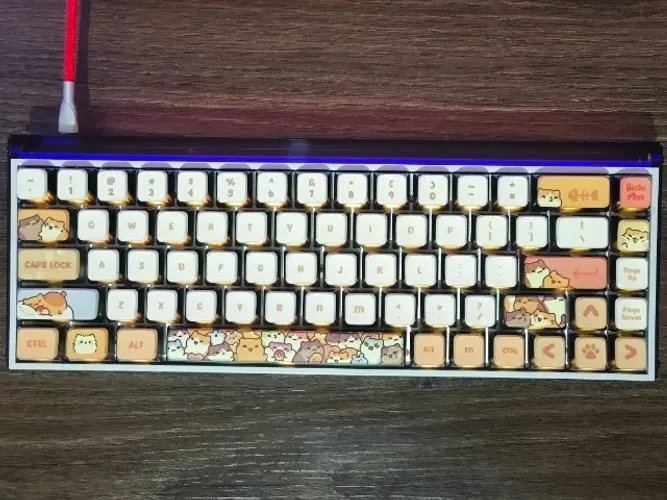 Keycaps The Kapko x Bichi Mao Sleeping Cat