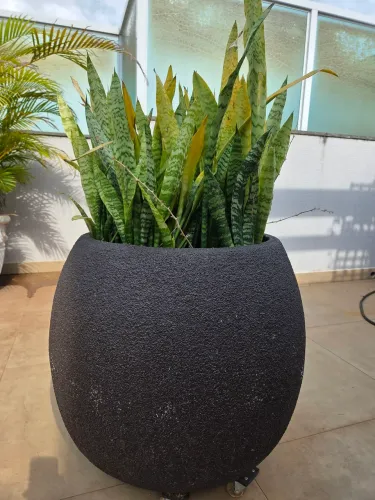 Vasos área externa