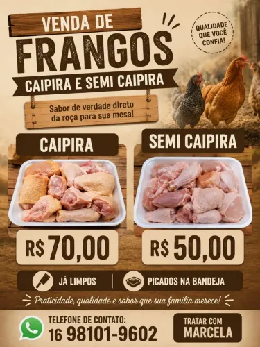 Frangos caipira e semi caipira