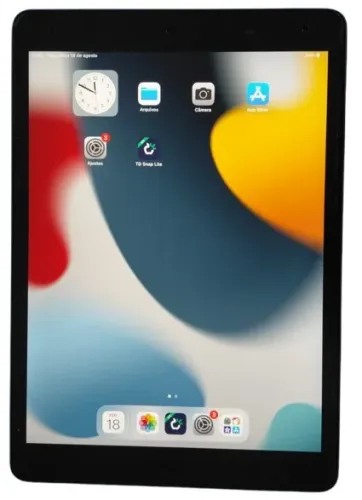 ipad 10,2 polegadas MODELO A2602 prata