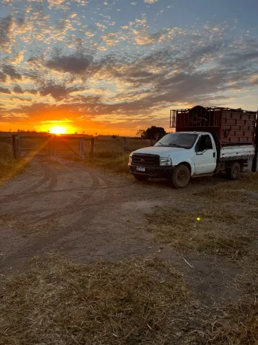 Ford F-350 3.9 8V Turbo Diesel Mec. 1999