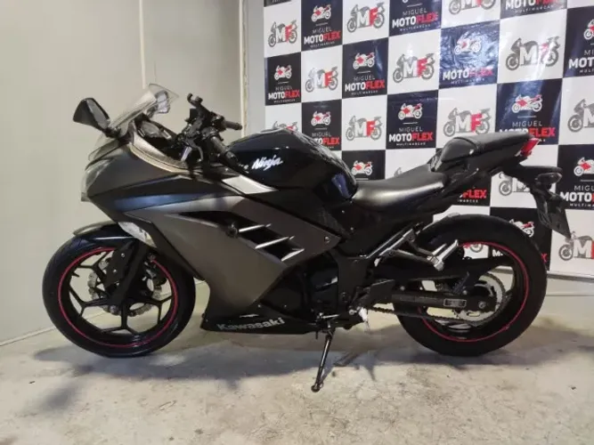 NINJA 300 2015