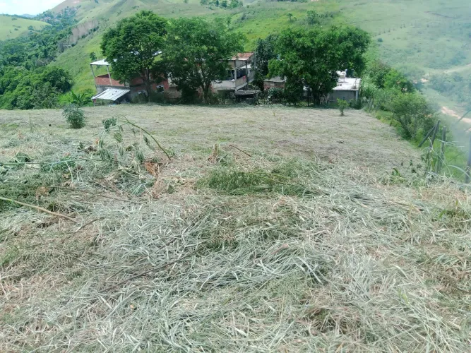 Serviços com roçadeira e motoserra.