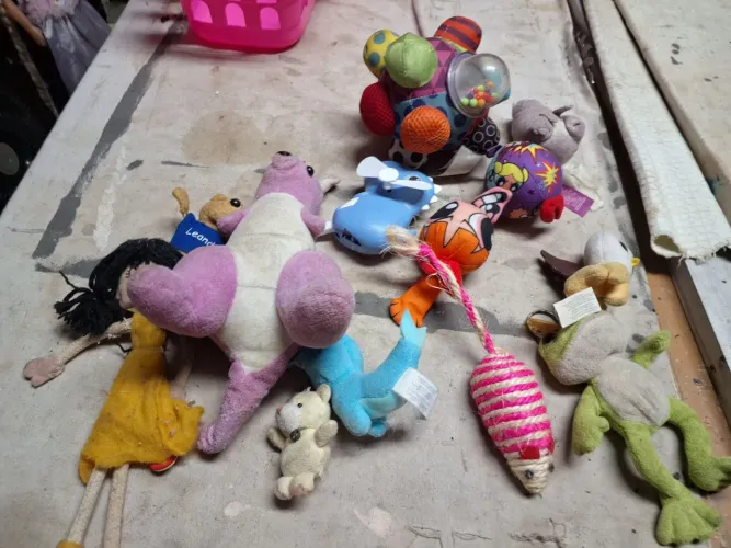 Lote de Brinquedos para Crianças com 12 peças