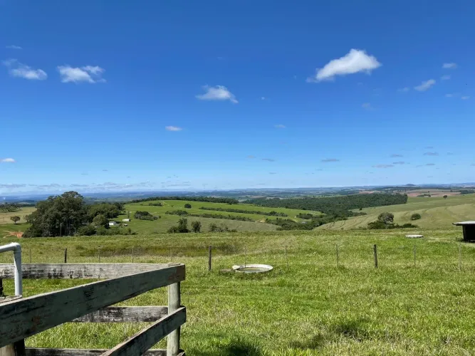 Fazenda 285 Alqueires, Terra Vermelha e Mista Escura, Topografia Plana, Rica em Água com A
