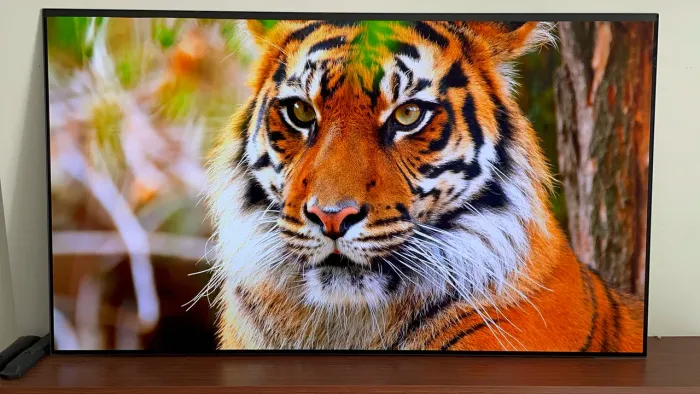 Tv LG 65 OLED 8k tela de vidro, Alexa e comando de voz 3 em1 com Xbox 