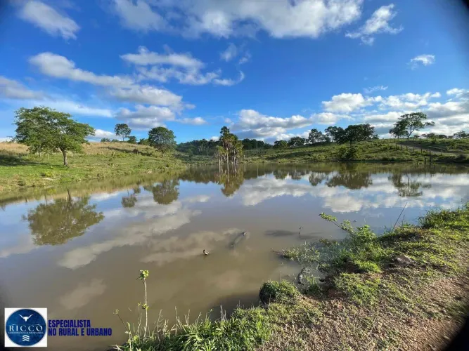 Fazenda à Venda 27 Alqueires em Faina GO | 90% Formada