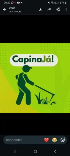 LIMPEZA DE TERRENO E QUINTAL(CAPINA ,ROÇAGEM,RECOLHIMENTO DE MATO