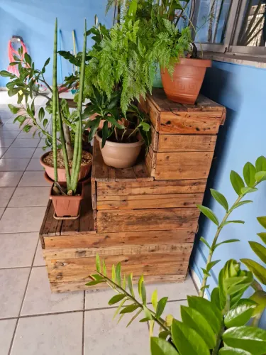 Estante para plantas, jardim .
