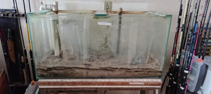 Aquário 200 litros com Móvel de ferro e filtro sump inclusos