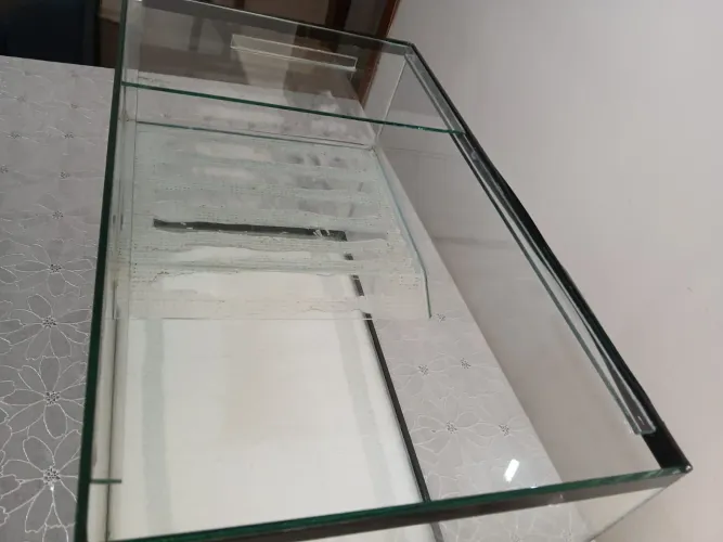 Aquaterrário/ aquário