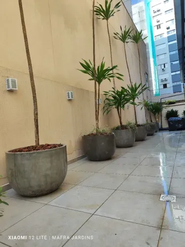 Jardineiro Mafra jardinagem e paisagismo 