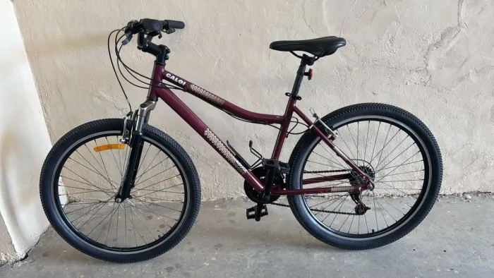 Bicicleta 