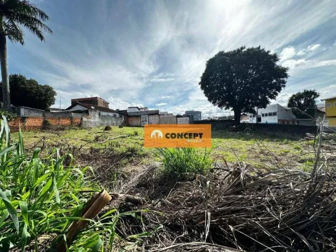 Terreno, 1 m² - venda por R$ 1.200.000,00 ou aluguel por R$ 5.829,17/mês - Sitio Paredão -