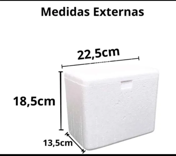 Caixa isopor 3l