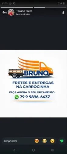 Fretes e pequenas mudanças 