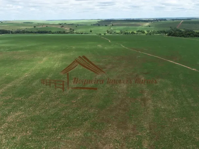 Fazenda com 226 alqueires, região de Bauru-SP