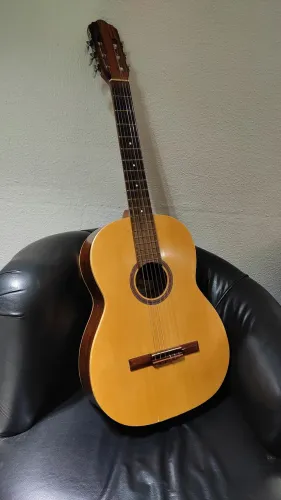 Violão Giannini gwne 16