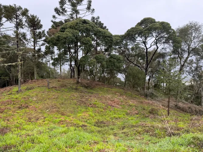 Terreno com vista 10 minutos centro de Urubici SC