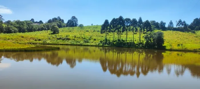 Terreno de Chácara em SJP / Entrada de 70 mil /Área Documentada