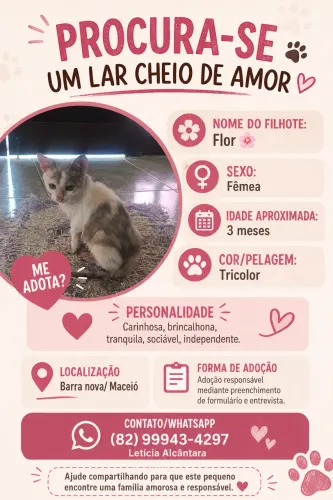 Adoção responsável fêmea filhote