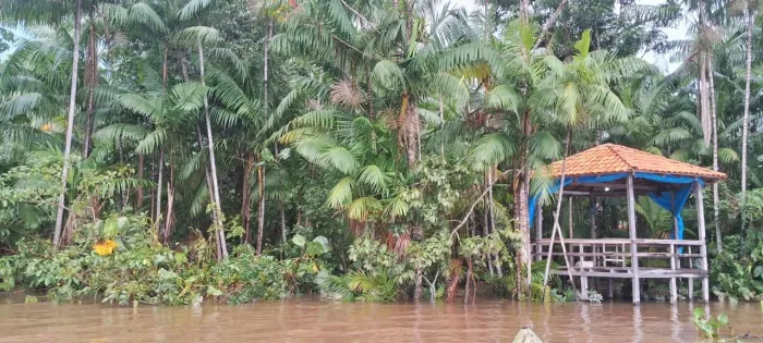 Vende-se sítio as margens do Rio Capim
