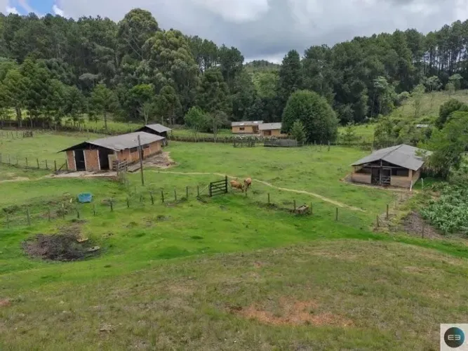 Um Espetáculo de Beleza na Serra da Mantiqueira! Fazenda de 79,5 Alqueires, Delfim Moreira