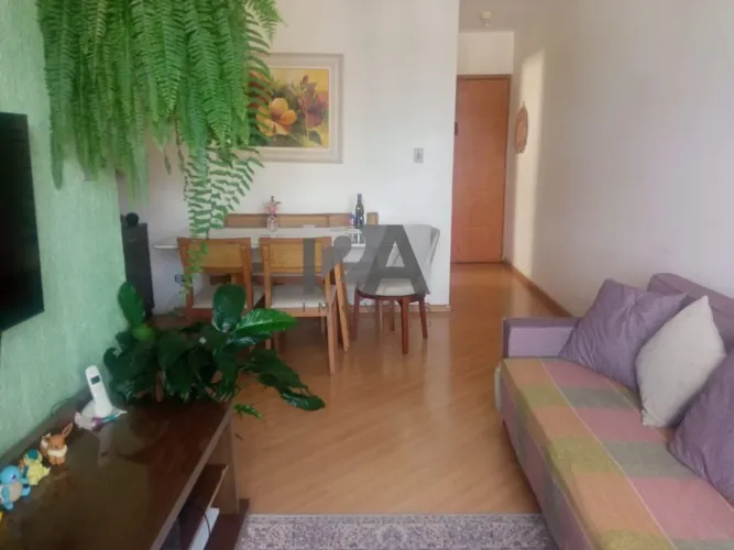 Apartamento 57 metros, 2 dormitórios, 1 vaga , Continental- Osasco