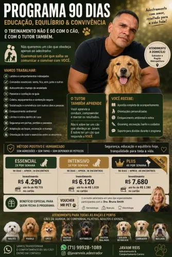 ADESTRADOR DE CÃES 17 ANOS DE EXPERIENCIA COMPROVADA