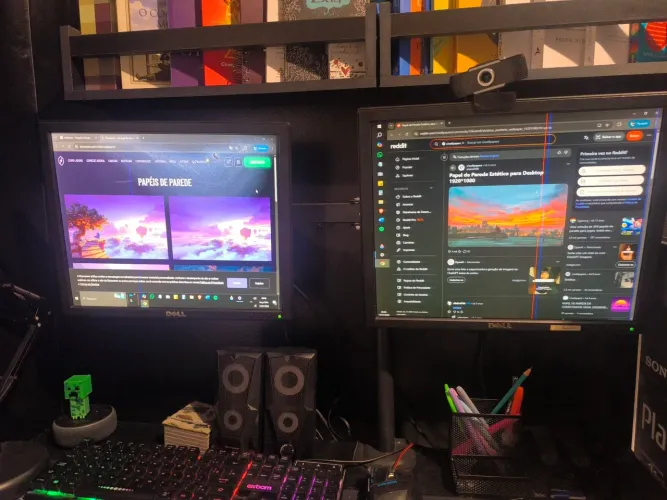 2 Monitores Dell E170sc 17 polegas 
