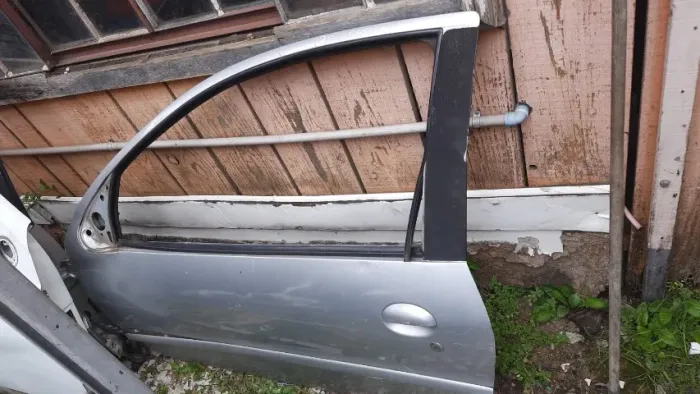 Porta esquerda Peugeot 206/ 2 portas