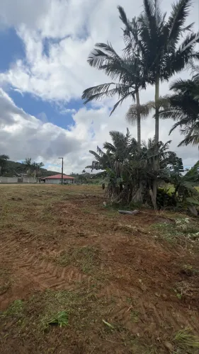 Vendo Terreno para Chácara em São João do Itaperiú
