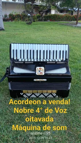 Acordeon 