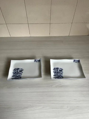 conjunto 2 pratos para sushi