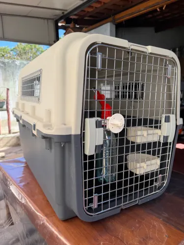 Caixa Transporte Pet Dogfly Padrão Iata Avião Tamanho 5 N5