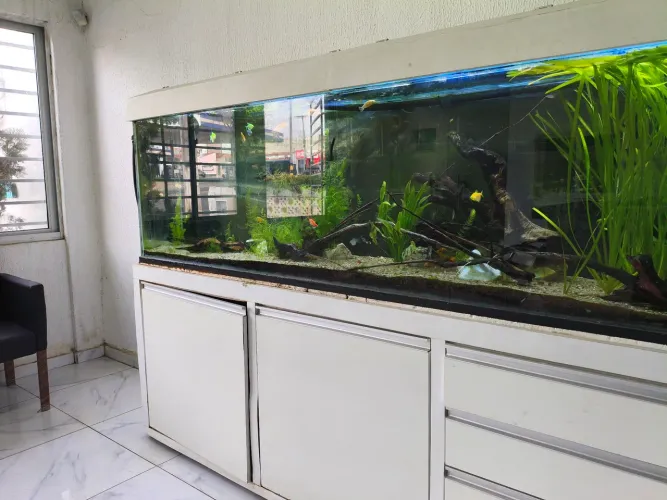 Aquario 554 litros, vidro 12mm.