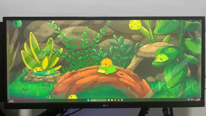 Monitor LG 29WK600 Branco/White
