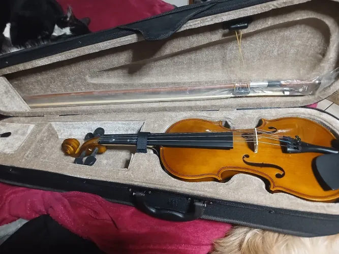 Violino 3/4 seminovo