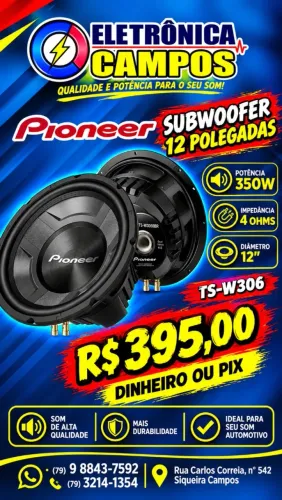 ALTO-FALANTE PIONEER 12''