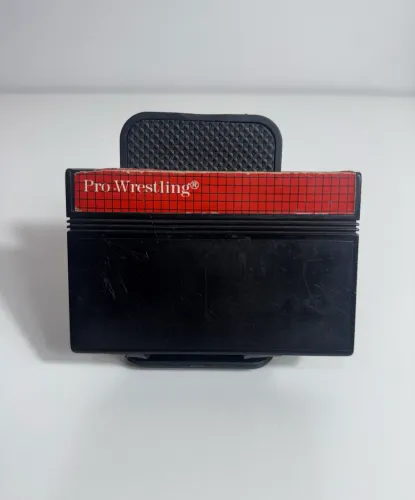 Pro wrestling master system