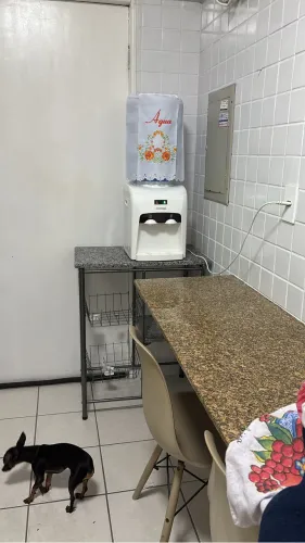 Fruteira nova de mármore
