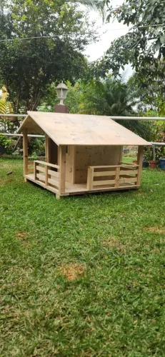 Casinha de pet
