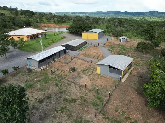 Líndíssima fazenda de 30.2 alqueires no Município de Hidrolina-GO, para criação de gado, a