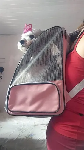 Bolsa de transporte para pet