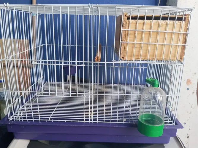 Gaiola para calopsitas
