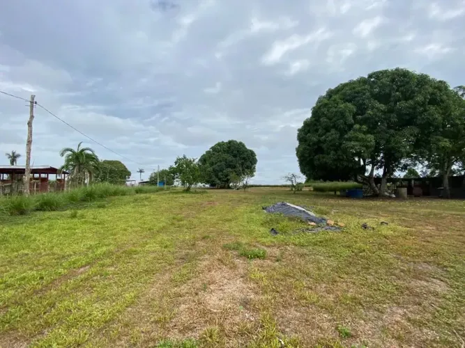 Vendo sítio com 200 mil metros quadrados em Manacapuru - AM