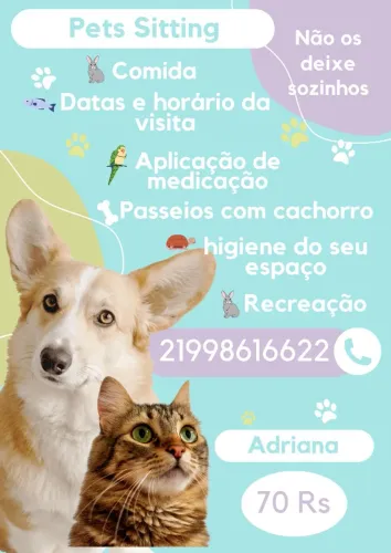 Animais de Estimação 