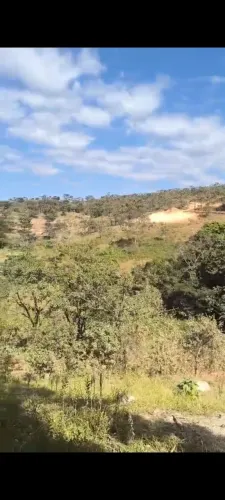 Lote 1.297 m2