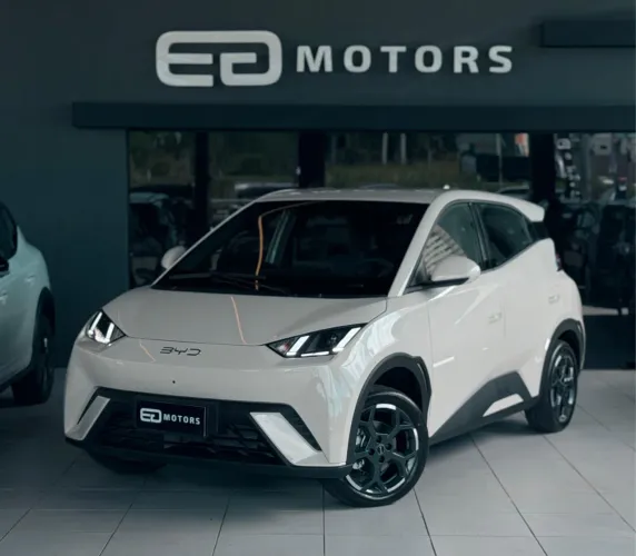 BYD Dolphin Mini (Elétrico) 2027